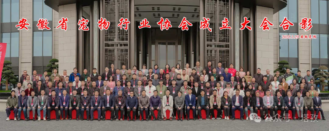 寵都平臺成為安徽省寵物行業協會理事單位，開啟寵物產業新征程